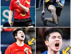 IM体育App下载-瑞典队完胜日本队，樊振东高光表现的简单介绍