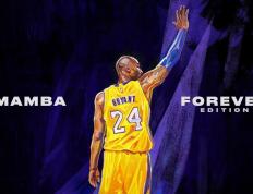 IM体育app-世界杯之夜，德罗赞的独舞，美加墨的篮球交响