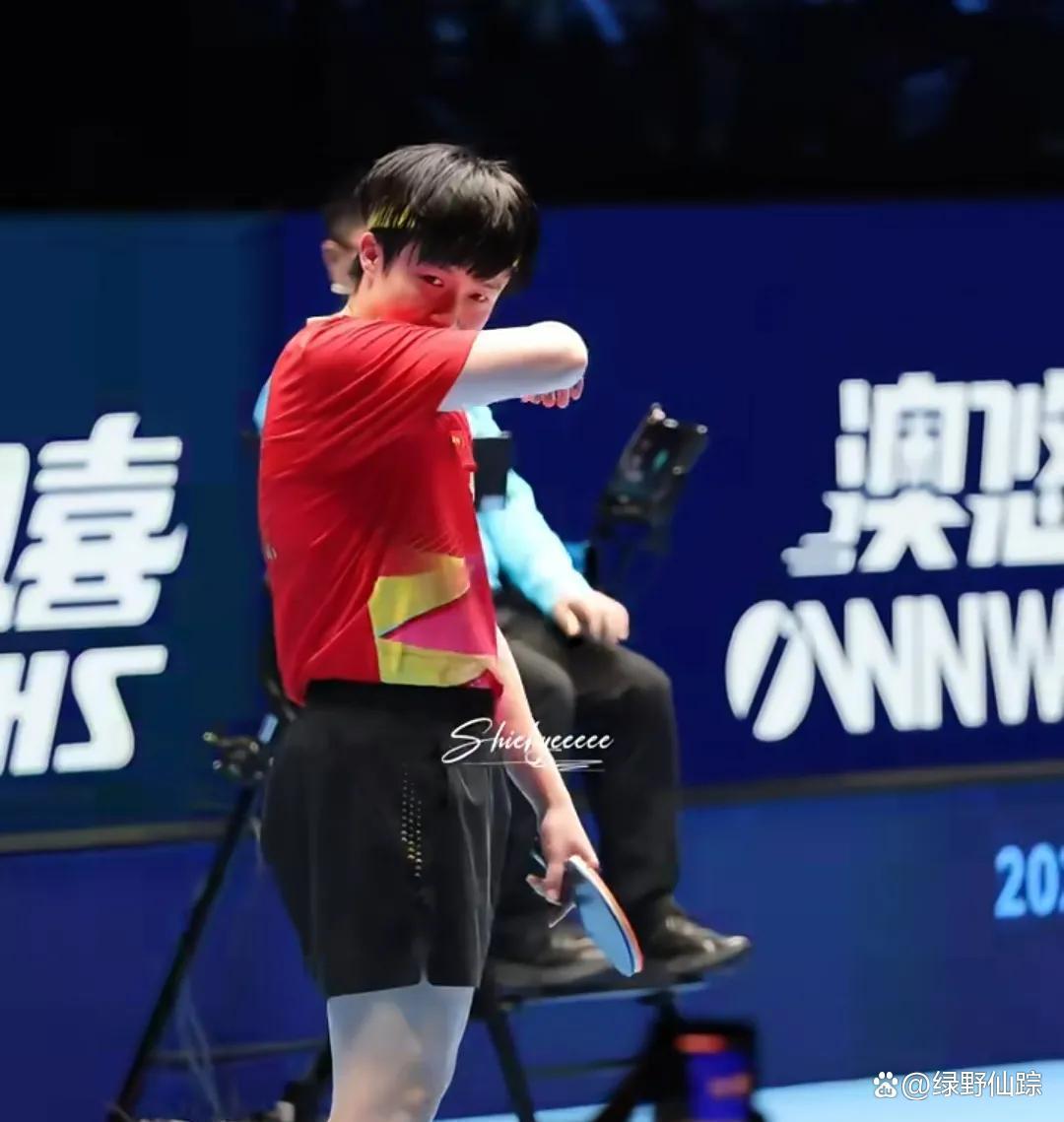 IM体育平台-韩国乒乓球队轻取波兰乒乓球队，王皓高光表现的简单介绍