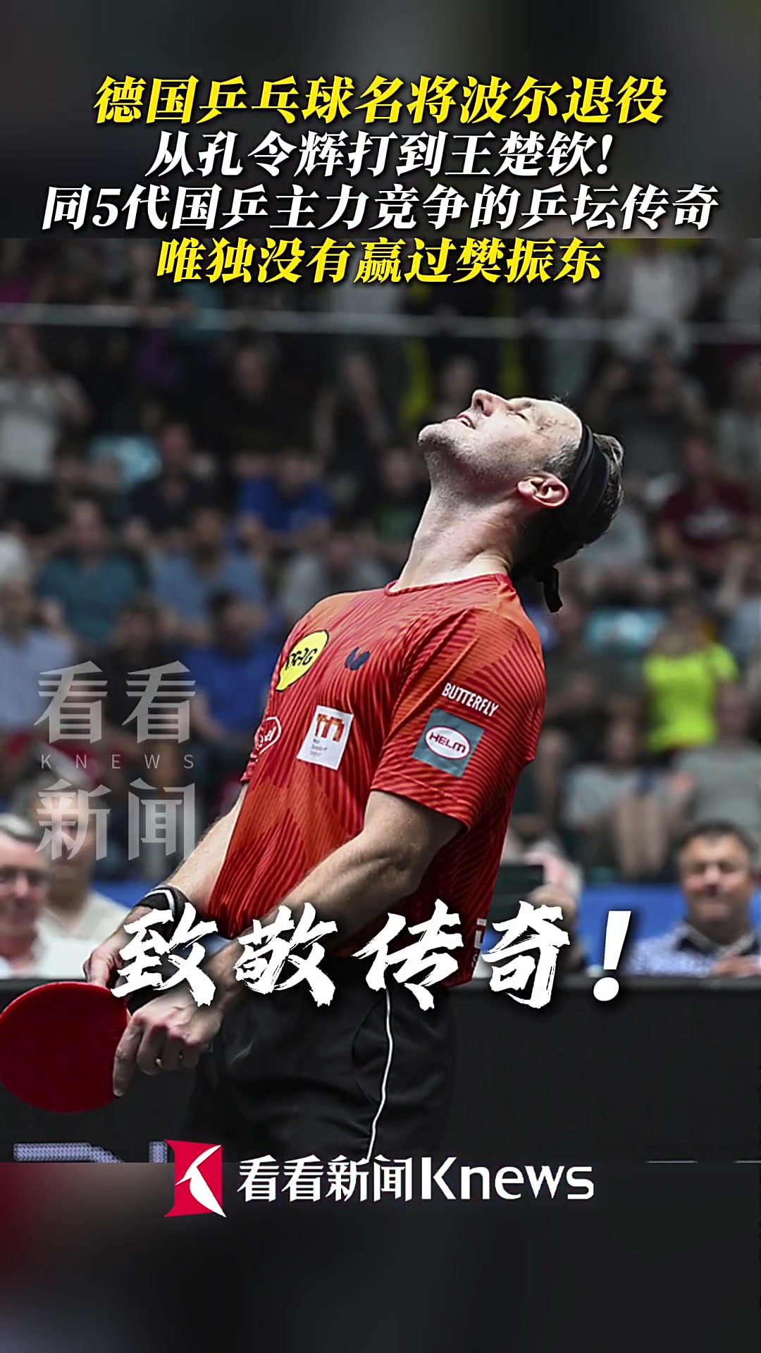 IM体育社区互动入口-比利时乒乓球队完胜中国乒乓球队，波尔完成帽子戏法的简单介绍