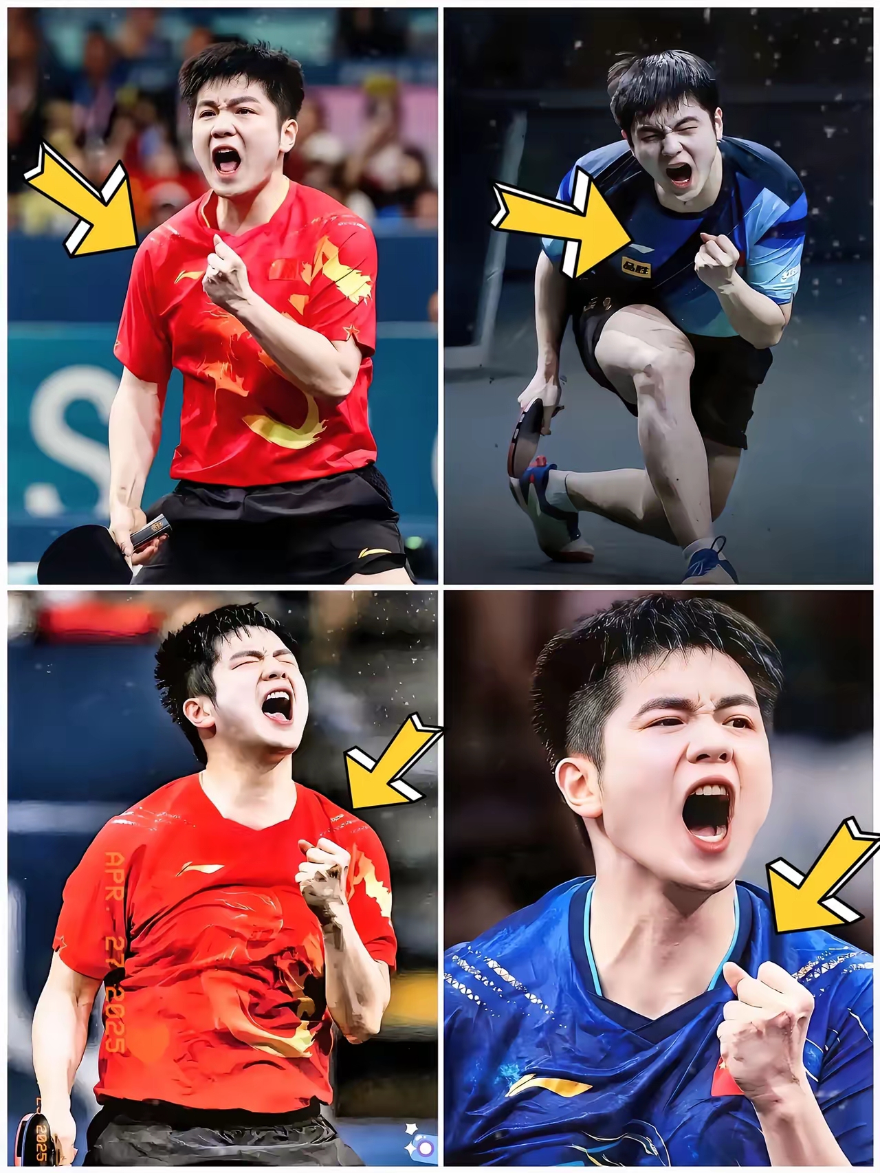 IM体育App下载-瑞典队完胜日本队，樊振东高光表现的简单介绍