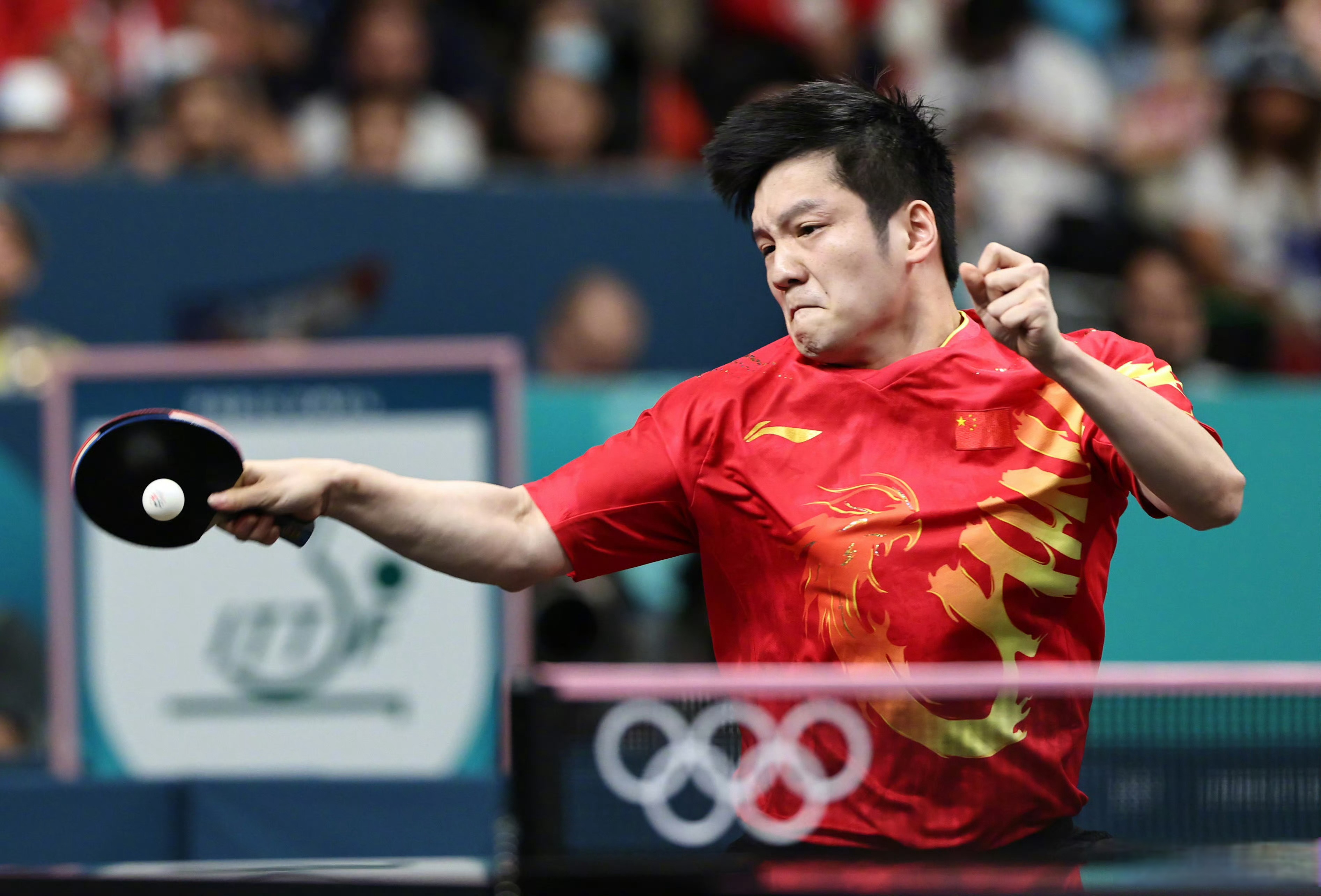 IM体育App下载-瑞典队完胜日本队，樊振东高光表现的简单介绍