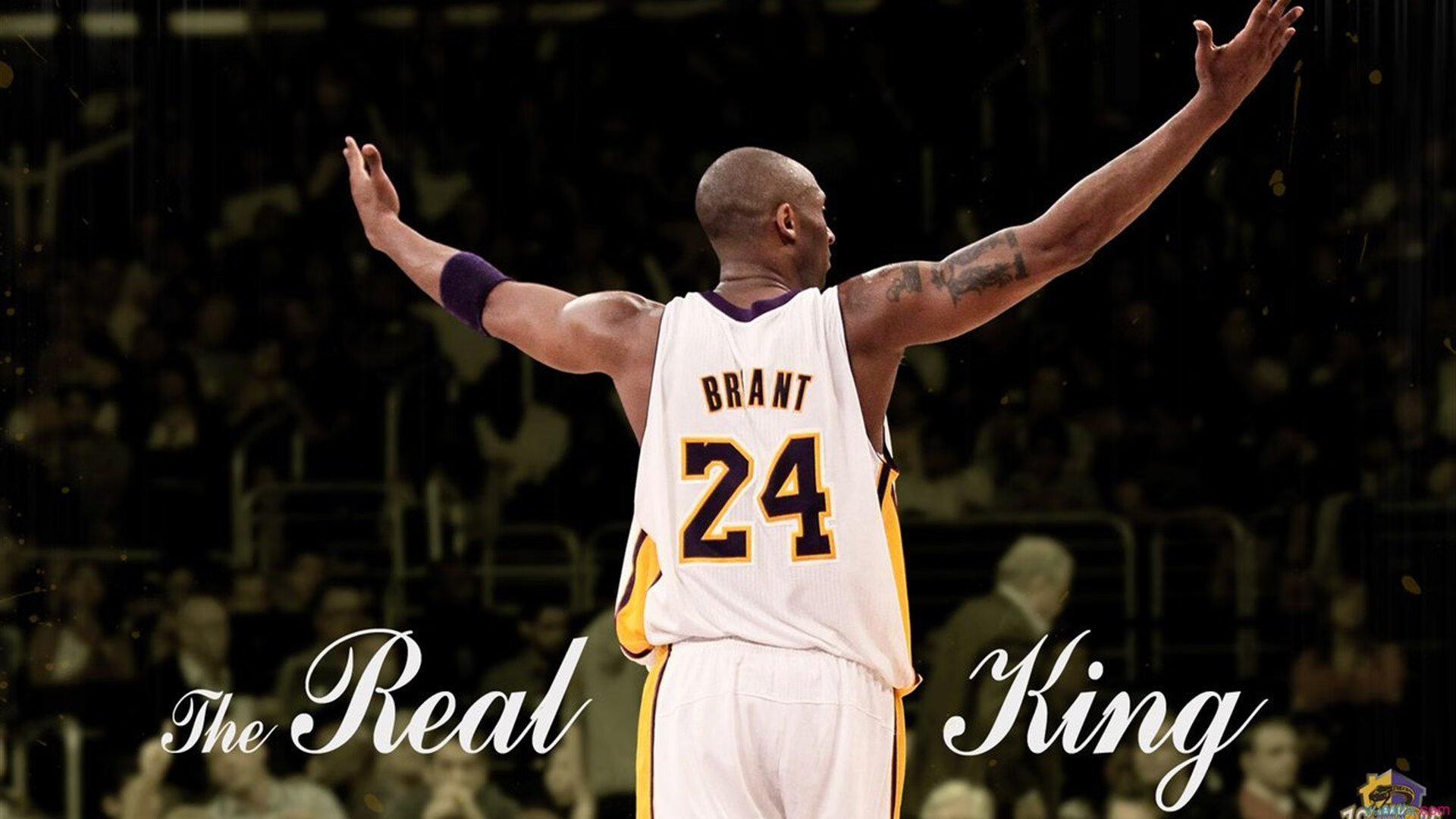 IM体育赛事直播入口-班凯罗全面爆发率队破局，国王硬仗力克步行者展现实力