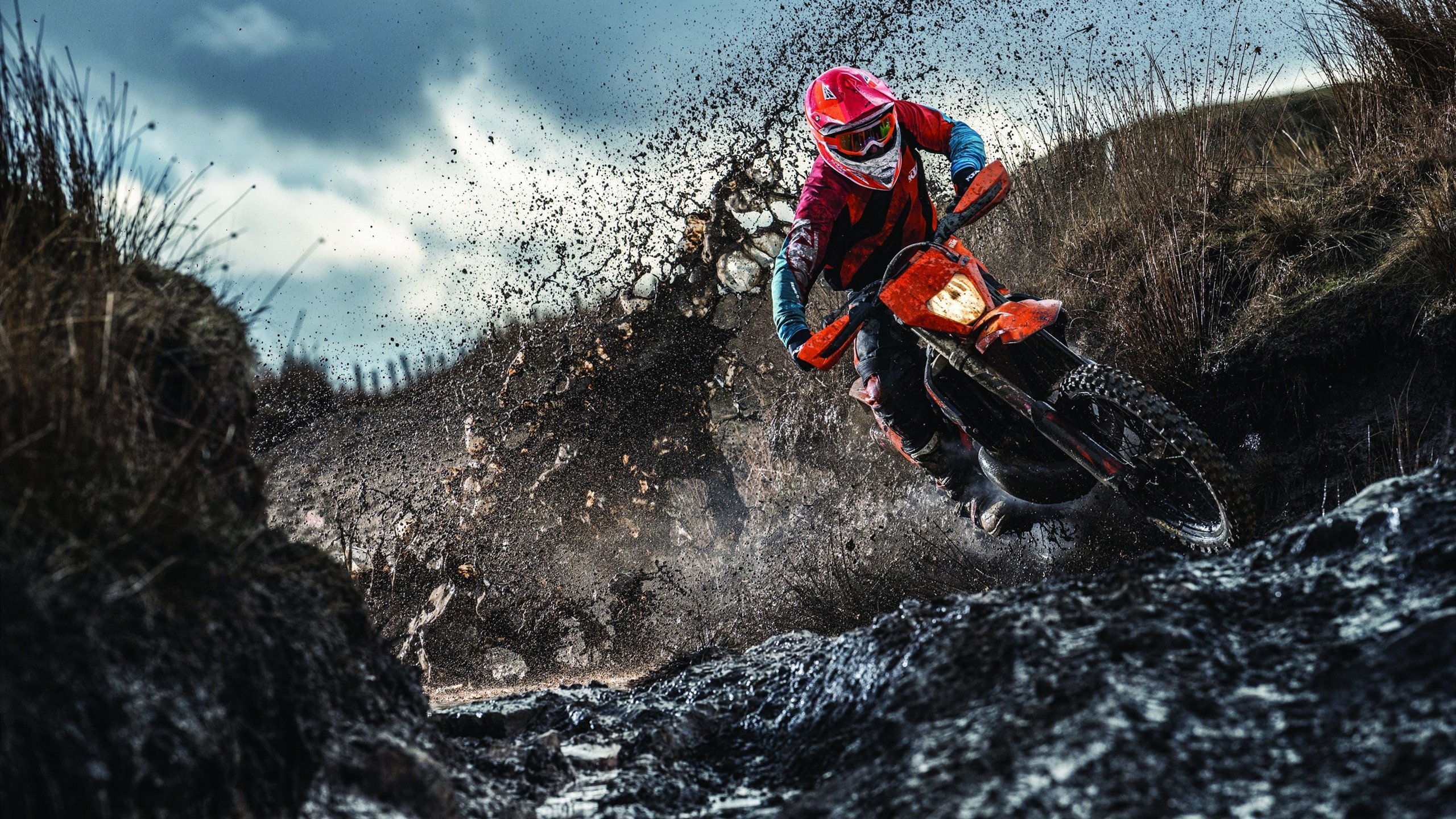 IM体育动画直播通道-钢铁意志与东方旋风，奥恰洛夫点燃赛场，德国队横扫日本队背后的乒乓哲学